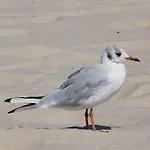 Alte Feuerwehr דירה Ueckermünde